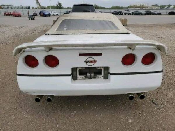 Greetings to y'all  new parts down Chevrolet vette - Image 4