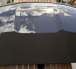 OEM Torch Red Exposed Carbon Fiber Targa Top for C7