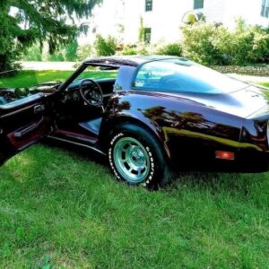 1980 Chevrolet Corvette T-Top
