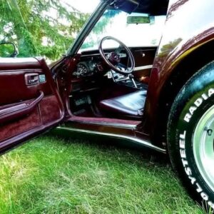 1980 Chevrolet Corvette T-Top